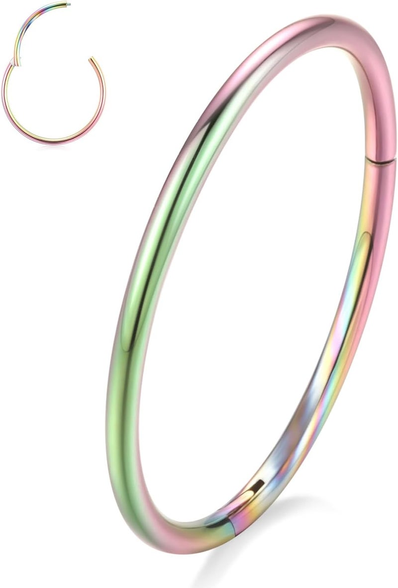 FUNLMO Store 316L Surgical Steel Hinged Segment Nose Ring Hoop for Nose Septum Cartilage Helix Tragus Conch Rook Daith Lobe Lip Piercings 1 Pc - Image 1